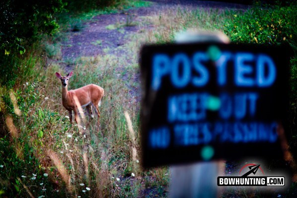 no trespassing sign with deer